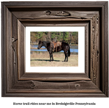 horse trail rides near me in Breinigsville, Pennsylvania